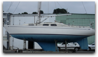 Stacks Image 82