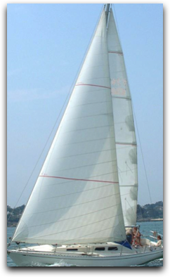 Stacks Image 84