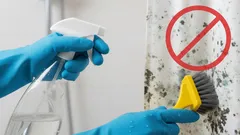 Hoe je schimmel van je douchegordijn verwijdert met een eenvoudig zelfgemaakt recept zonder iets uit te geven