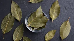 Laurierblaadjes in de badkamer leggen: waarom het wordt aangeraden en wat het doet