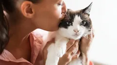 Houden katten ervan om gekust te worden en hoe herken je dat ze die genegenheid niet prettig vinden?