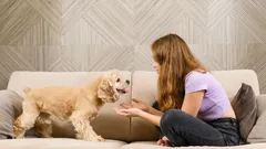 Hoe je met je hond praat zodat zij je begrijpen: een wetenschappelijke benadering