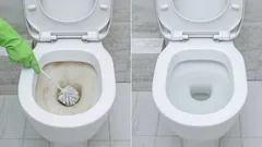 Leg het 's nachts in het toilet en 's ochtends zal het stralen: effectieve methode van experts