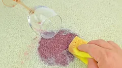 Nooit meer doffe tapijten: dit is de ultieme schoonmaakroutine