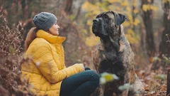 Zes duidelijke tekenen dat je hond echt van je houdt